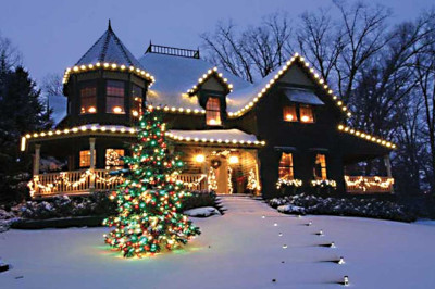 Contact Showcase Services Holiday Lighting