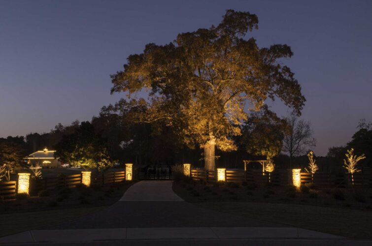 outdoor-yard-tree-lighting